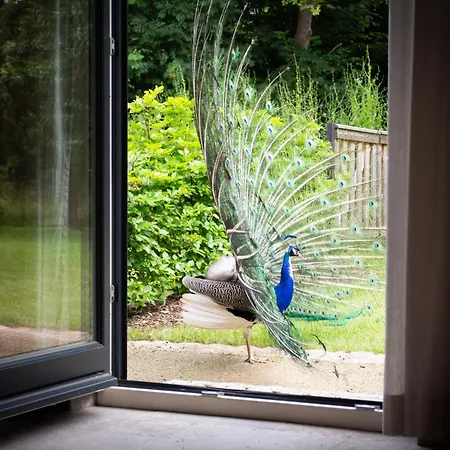 Idyllisches Landhaus, Garten & Kamin, Fuer Paare