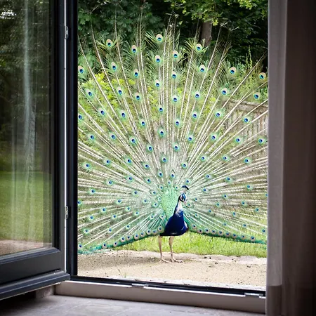Idyllisches Landhaus, Garten & Kamin, Fuer Paare * Kloster Tempzin